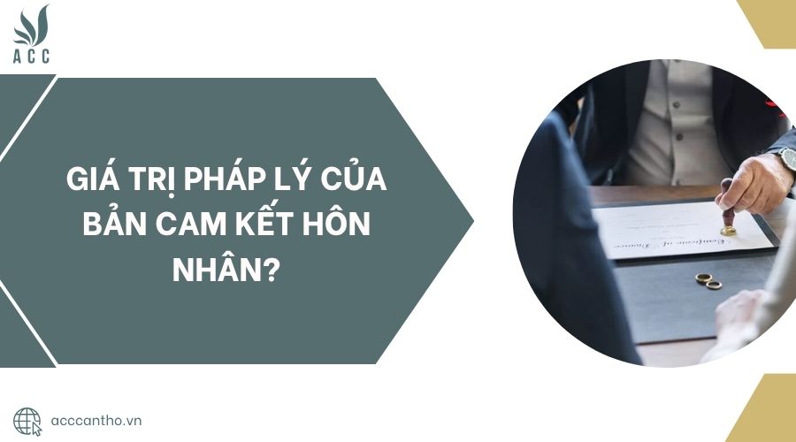 Giá trị fv88 nhà cái của bản cam fv88 đá gà trực tiếp nhân?.jpg