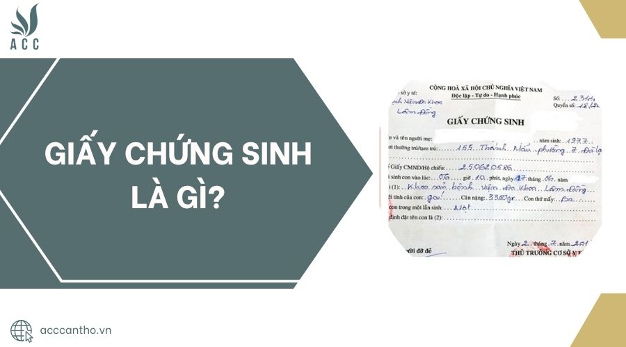 Giấy chứng sinh là gì?.jpg