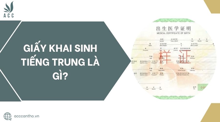 Giấy khai sinh tiếng Trung là gì?.jpg