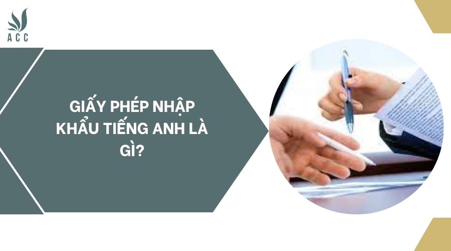 fv88 nhập khẩu tiếng anh là gì.?jpg