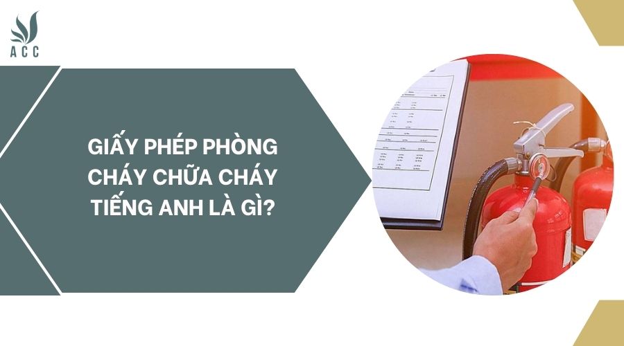 fv88 fv88 đá gà trực tiếp tiếng anh là gì?.jpg