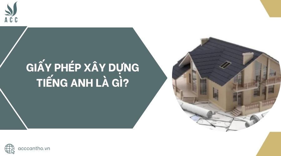 fv88 fv88 vn tiếng Anh là gì?.jpg