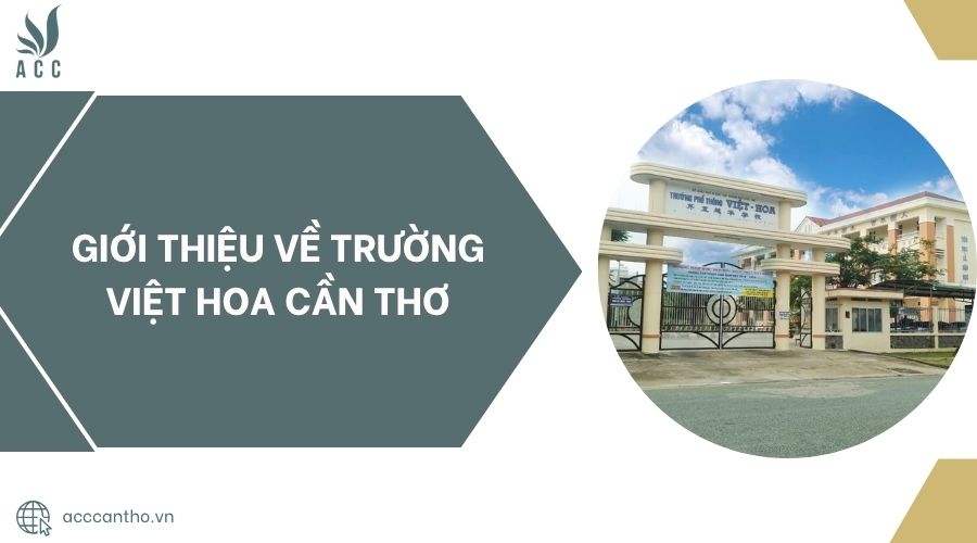 Giới Thiệu về Trường Việt Hoa Cần Thơ.jpg