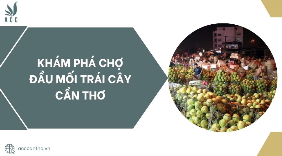 Khám phá Chợ Đầu Mối Trái Cây Cần Thơ.jpg