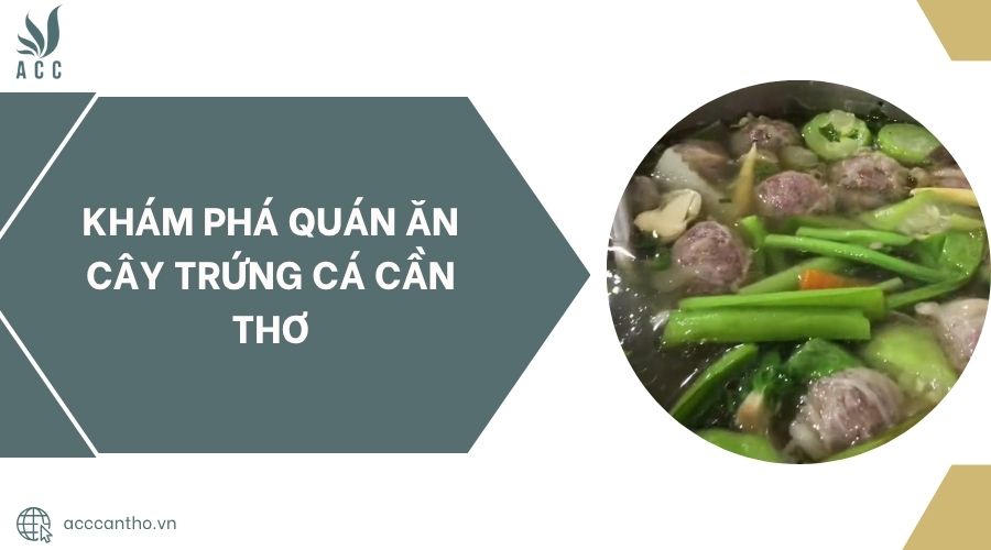 Khám phá quán ăn Cây Trứng Cá Cần Thơ.jpg