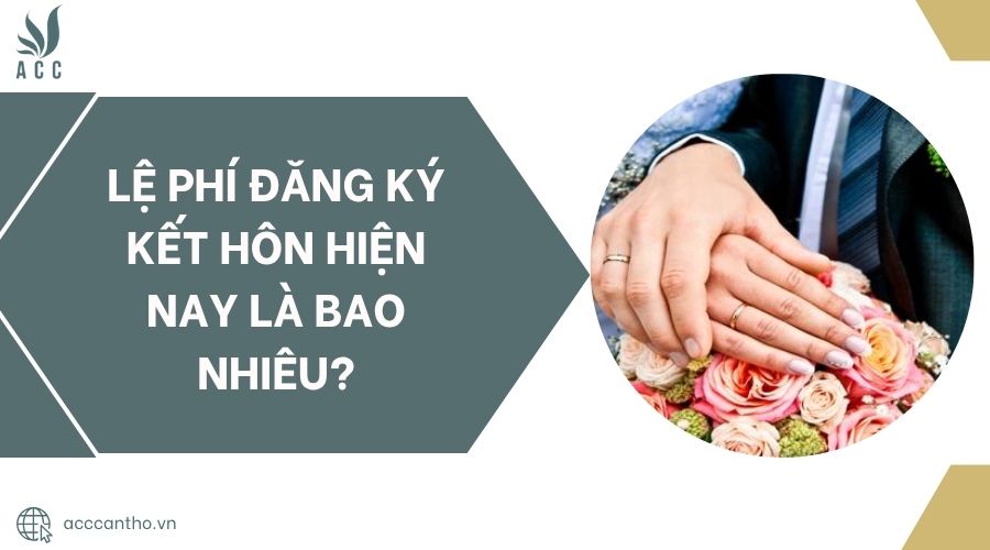 Lệ phí đăng ký fv88 đá gà trực tiếp hiện nay là bao nhiêu?.jpg