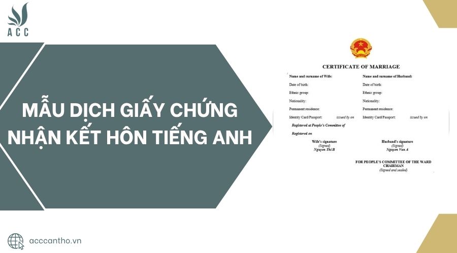 Mẫu dịch giấy chứng nhận fv88 đá gà trực tiếp tiếng Anh.jpg