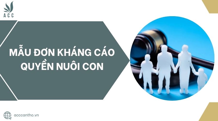 Mẫu đơn kháng cáo quyền nuôi con.jpg