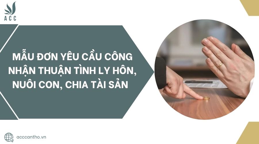 Mẫu đơn yêu cầu công nhận thuận tình ly hôn, nuôi con, chia tài sản.jpg