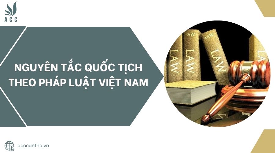 Nguyên tắc quốc tịch theo pháp luật Việt Nam.jpg
