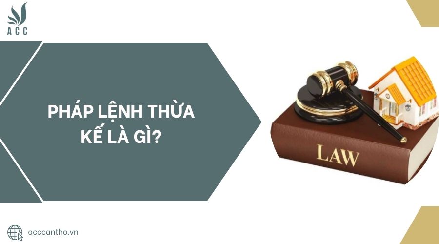 Pháp lệnh thừa kế là gì?.jpg