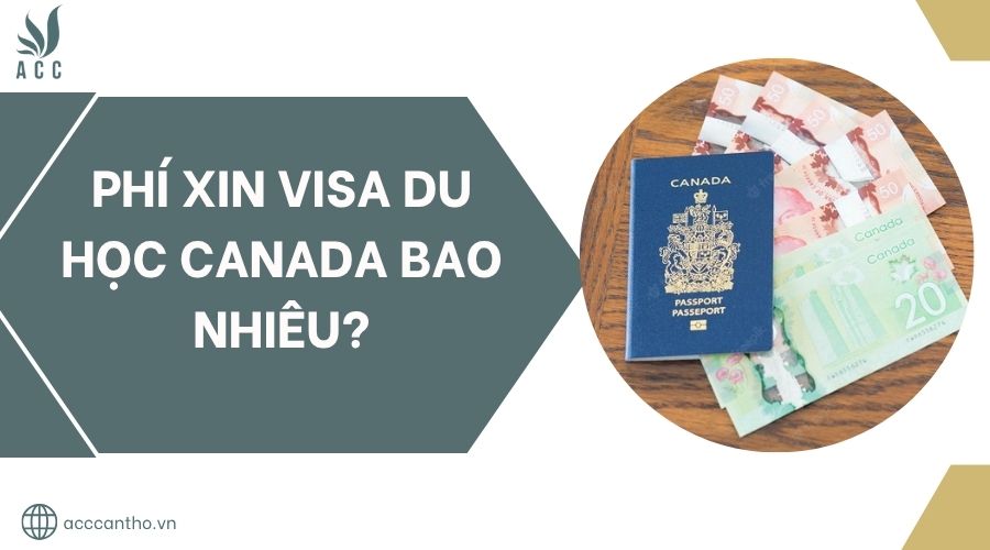 Phí xin visa du học Canada bao nhiêu?.jpg