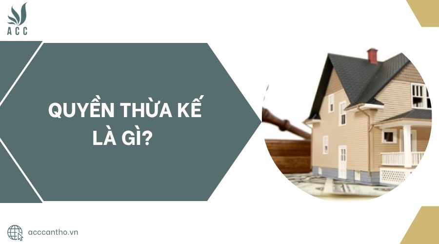 Quyền thừa kế là gì?.jpg