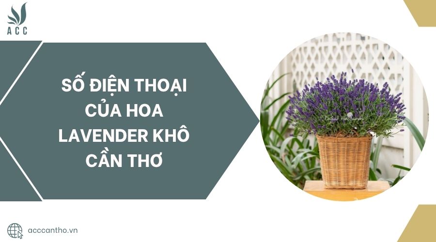 Số điện thoại của Hoa Lavender Khô Cần Thơ.jpg