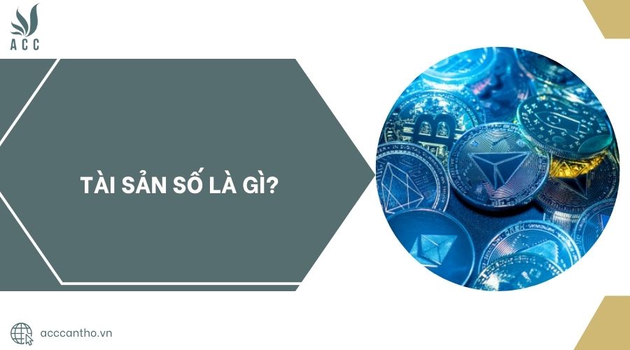 Tài sản số là gì?.jpg