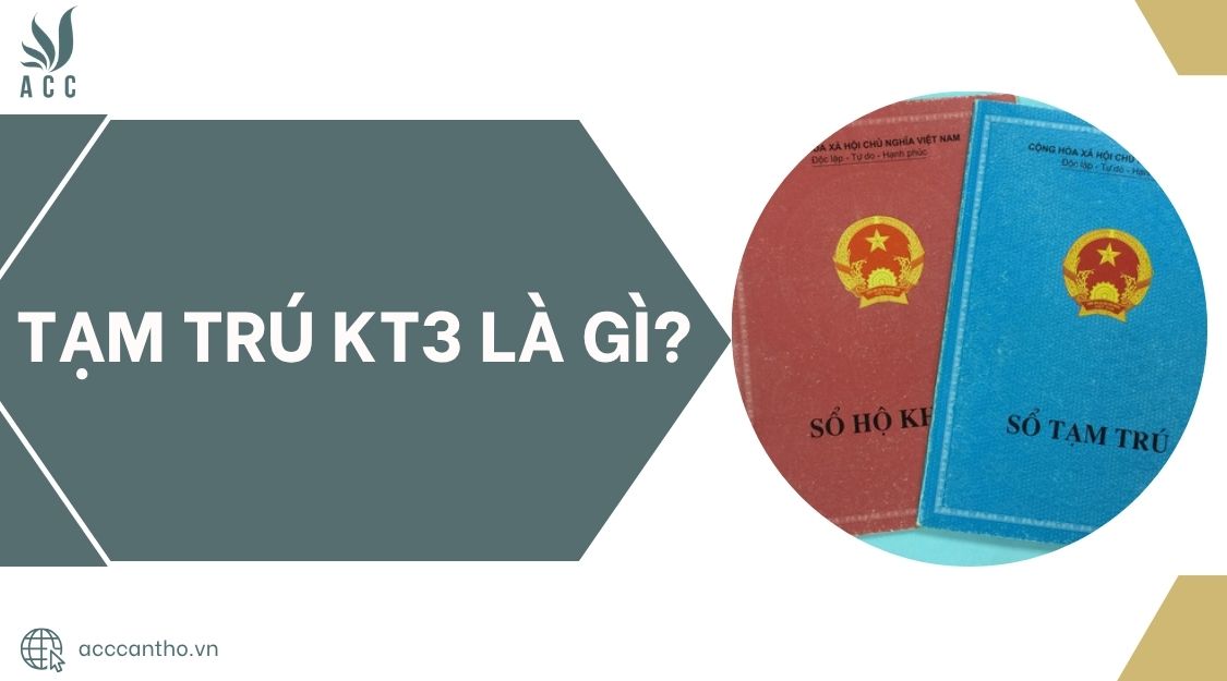 fv888 KT3 là gì?.jpg