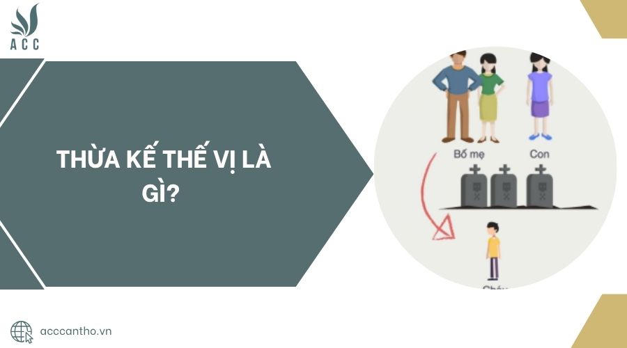 Thừa kế thế vị là gì?.jpg