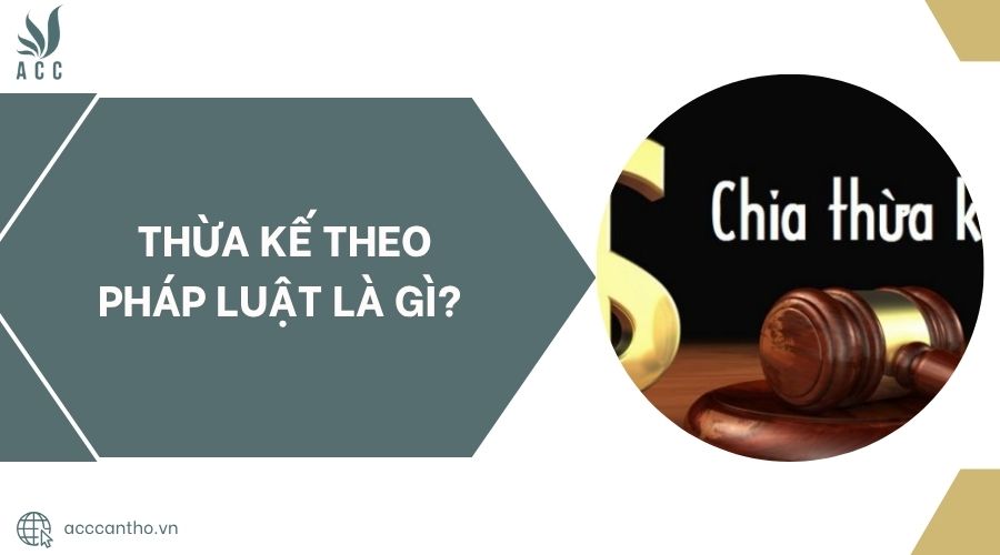 Thừa kế theo pháp luật là gì?.jpg