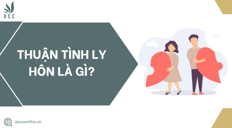 Thuận tình ly hôn là gì?.jpg