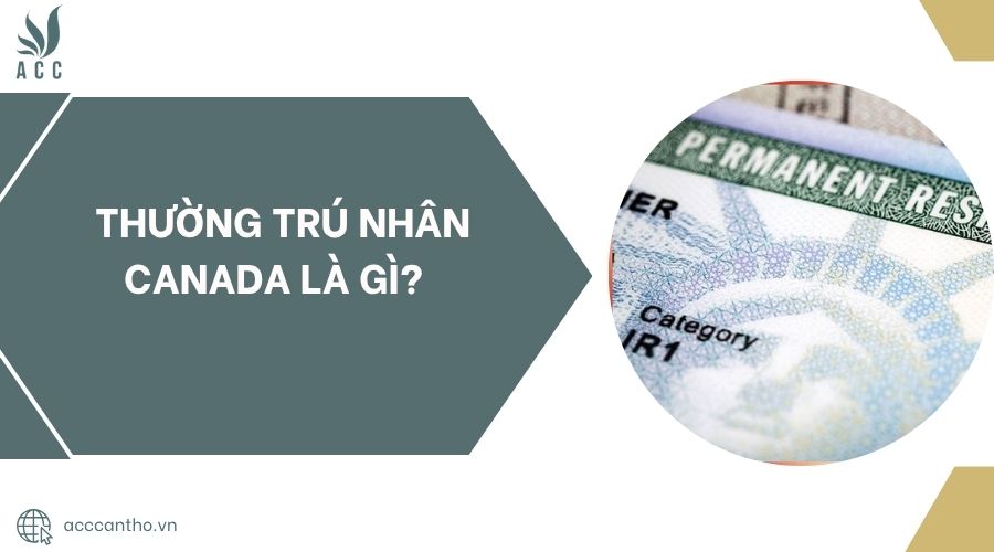 fv88 link nhân Canada là gì?.jpg