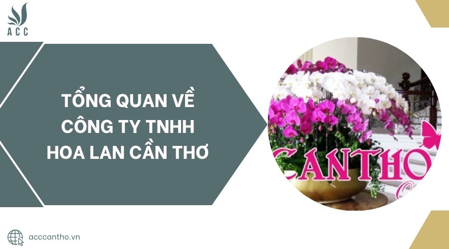 Tổng quan về Công Ty TNHH Hoa Lan Cần Thơ.jpg