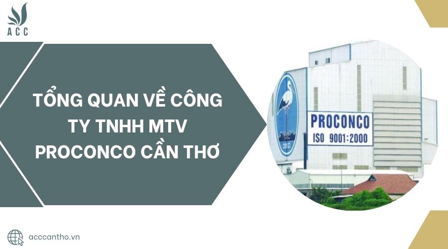 Tổng quan về Công ty TNHH MTV Proconco Cần Thơ.jpg