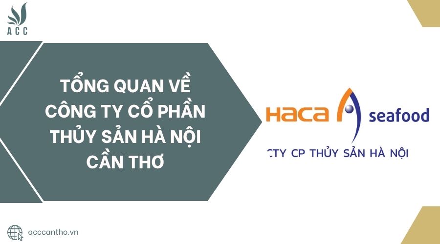 Tổng quan về Công ty cổ phần Thủy Sản Hà Nội Cần Thơ.jpg
