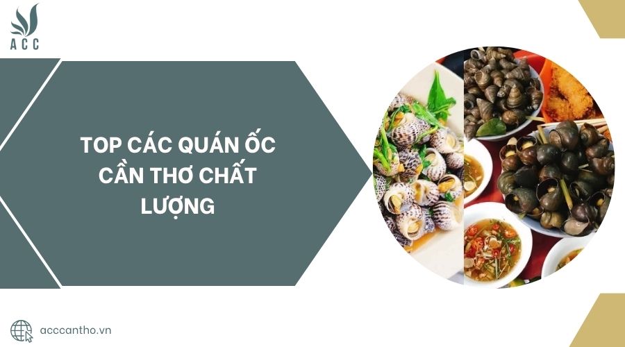 Top các quán ốc Cần Thơ chất lượng.jpg