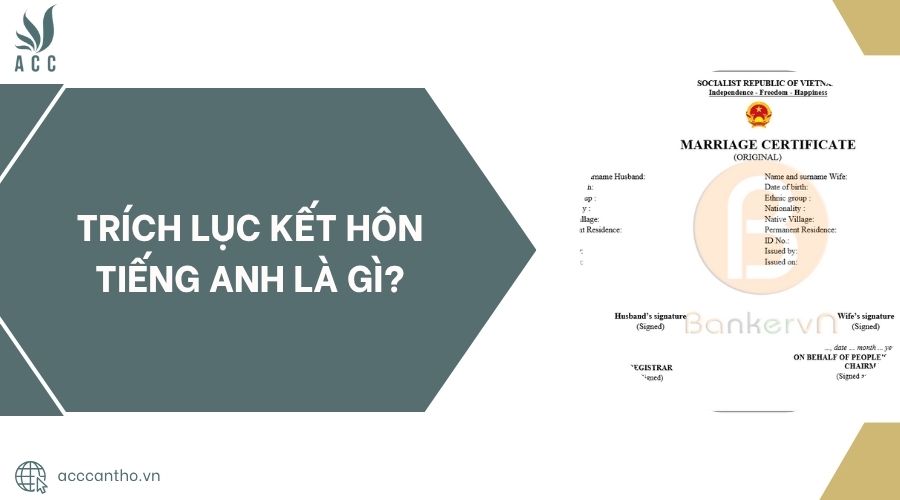 Trích lục fv88 đá gà trực tiếp tiếng Anh là gì?.jpg
