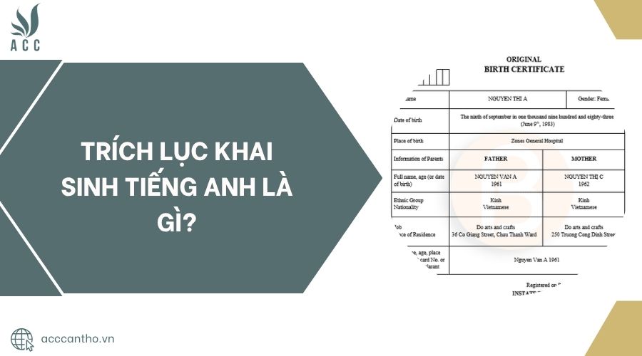 Trích lục khai sinh tiếng Anh là gì?.jpg