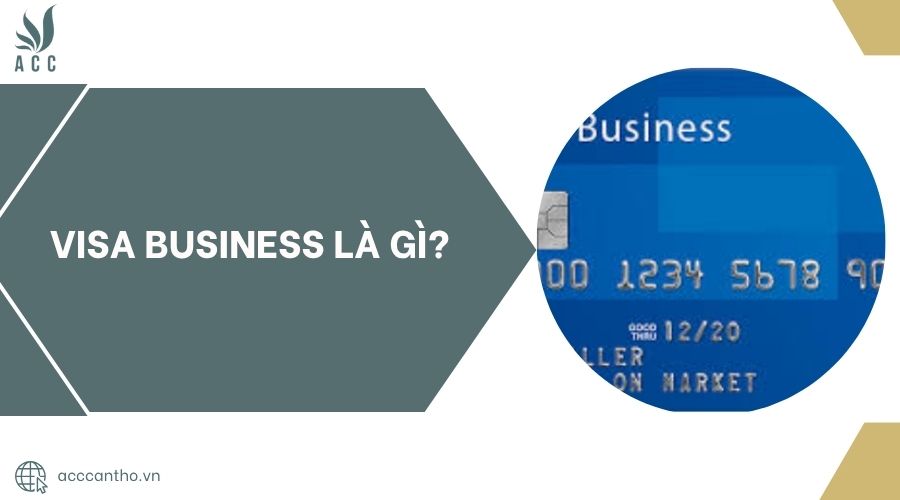 Visa Business là gì?.jpg
