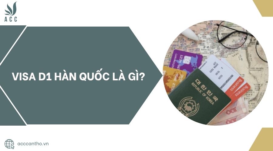 Visa D1 Hàn Quốc là gì?.jpg