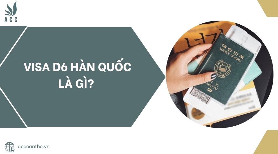 Visa D6 Hàn Quốc là gì?.jpg