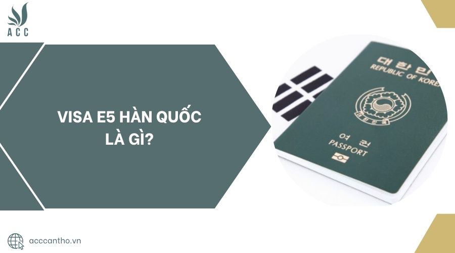 Visa E5 Hàn Quốc là gì?.jpg