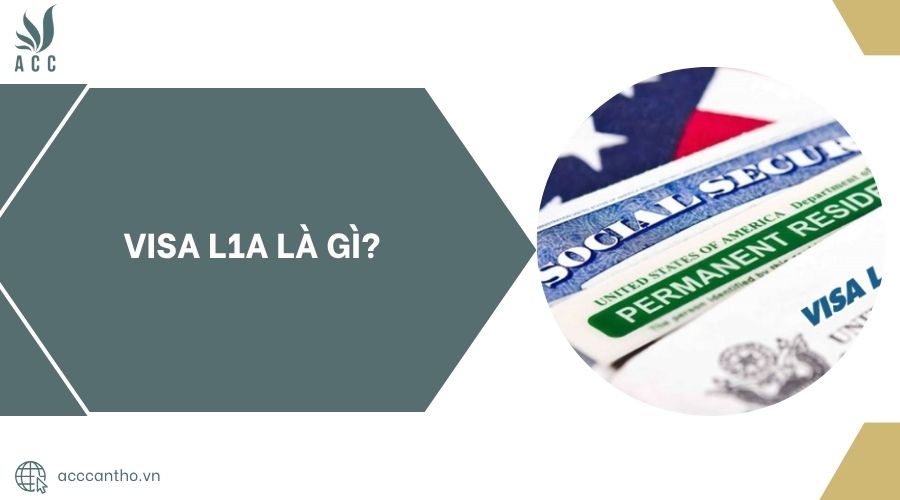 Visa L1A là gì?.jpg