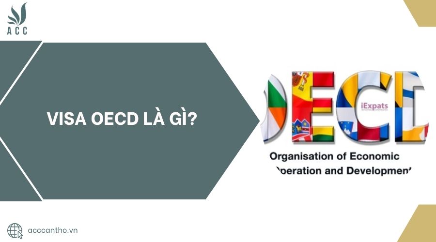 Visa OECD là gì?.jpg