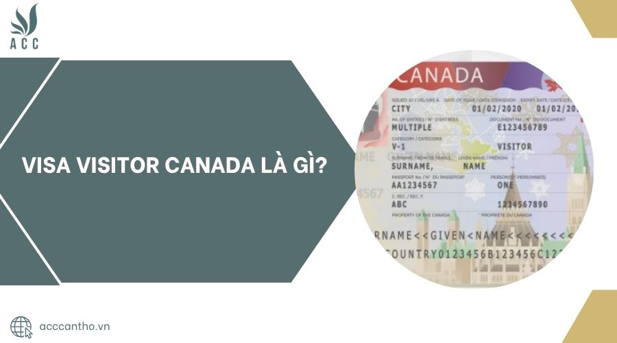 Visa Visitor Canada là gì?.jpg