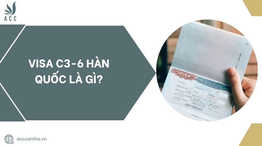 Visa c3-6 Hàn Quốc là gì?.jpg
