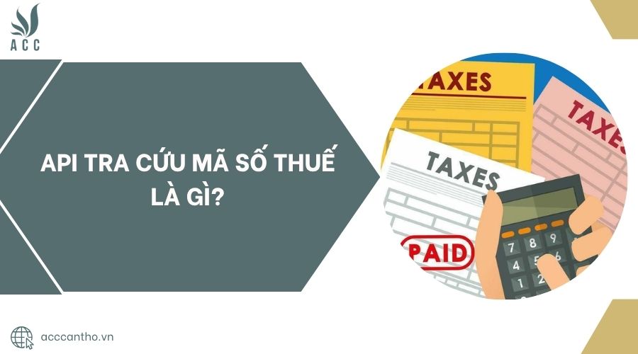 API tra cứu M&atilde; số thuế l&agrave; g&igrave;.jpg