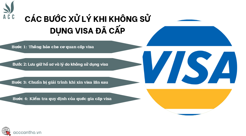 Các bước xử lý khi không sử dụng visa đã cấp