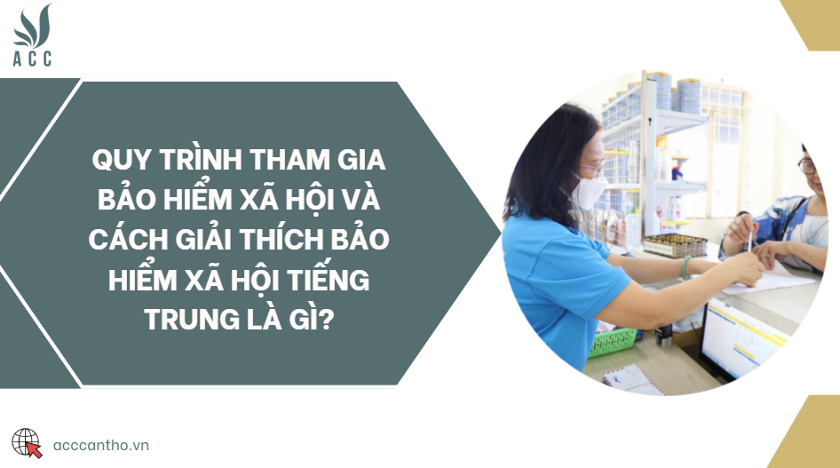 Quy trình tham gia bảo hiểm xã hội và cách giải thích bảo hiểm xã hội tiếng Trung là gì?