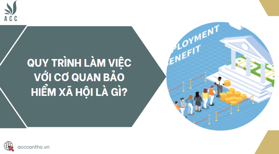Quy trình làm việc với cơ quan bảo hiểm xã hội là gì?