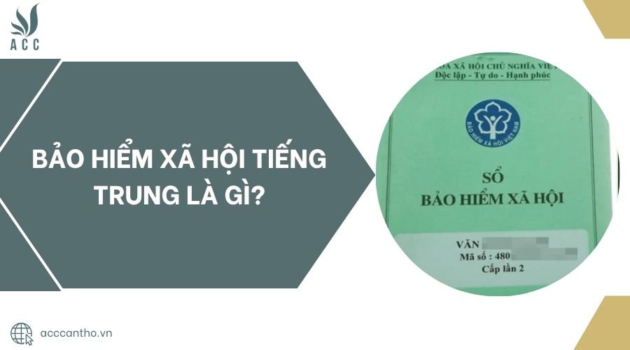 Bảo hiểm xã hội tiếng Trung là gì?