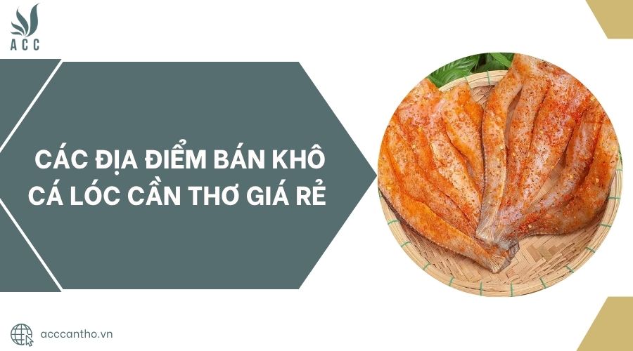 Các địa điểm bán Khô cá lóc Cần Thơ giá rẻ.jpg