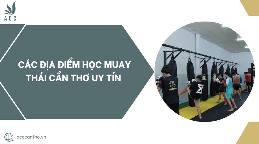 Các địa điểm học Muay Thái Cần Thơ uy tín.jpg