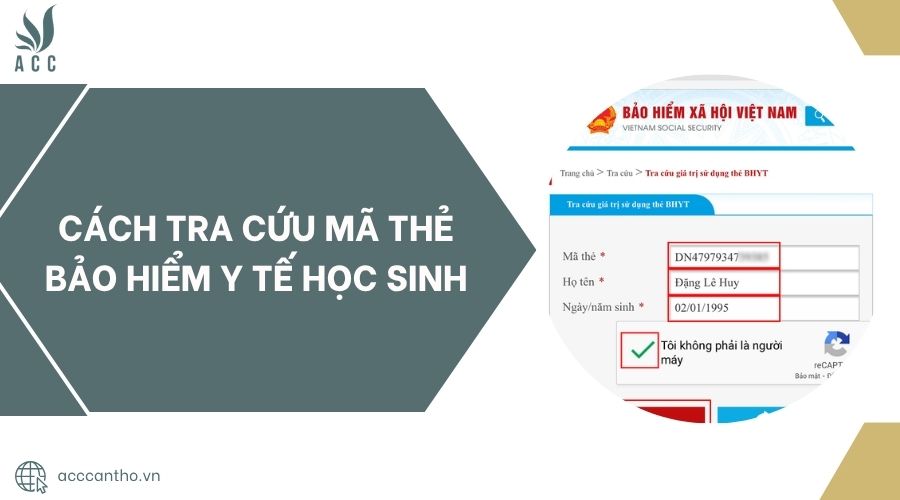 Cách tra cứu mã thẻ bảo hiểm y tế học sinh.jpg
