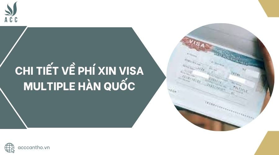 Chi tiết về phí xin visa multiple Hàn Quốc