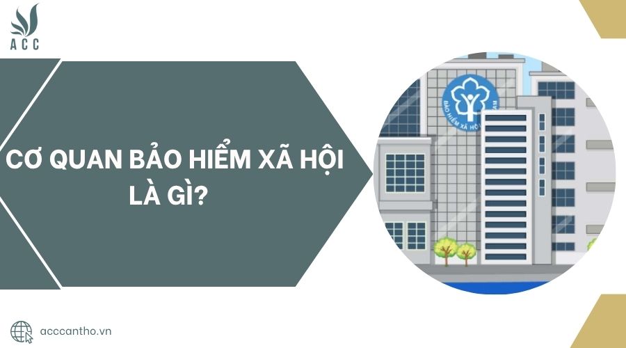 Cơ quan bảo hiểm xã hội là gì?