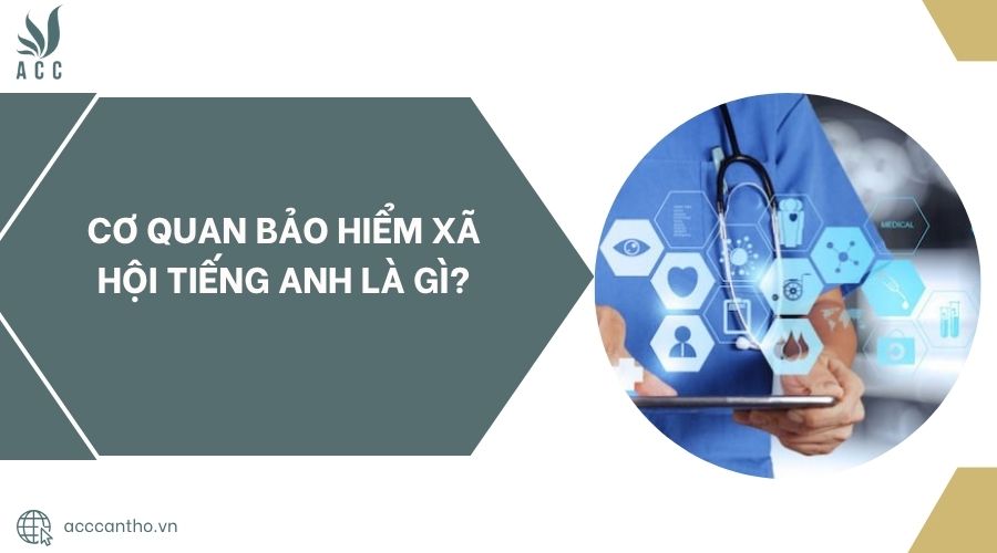 Cơ quan bảo hiểm xã hội tiếng Anh là gì?