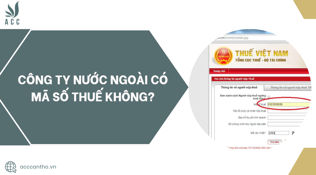 Công ty nước ngoài có mã số thuế không?.jpg